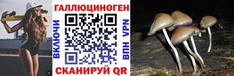 где можно купить наркотик  Оленегорск  Псилоцибиновые грибы Psilocybine cubensis 